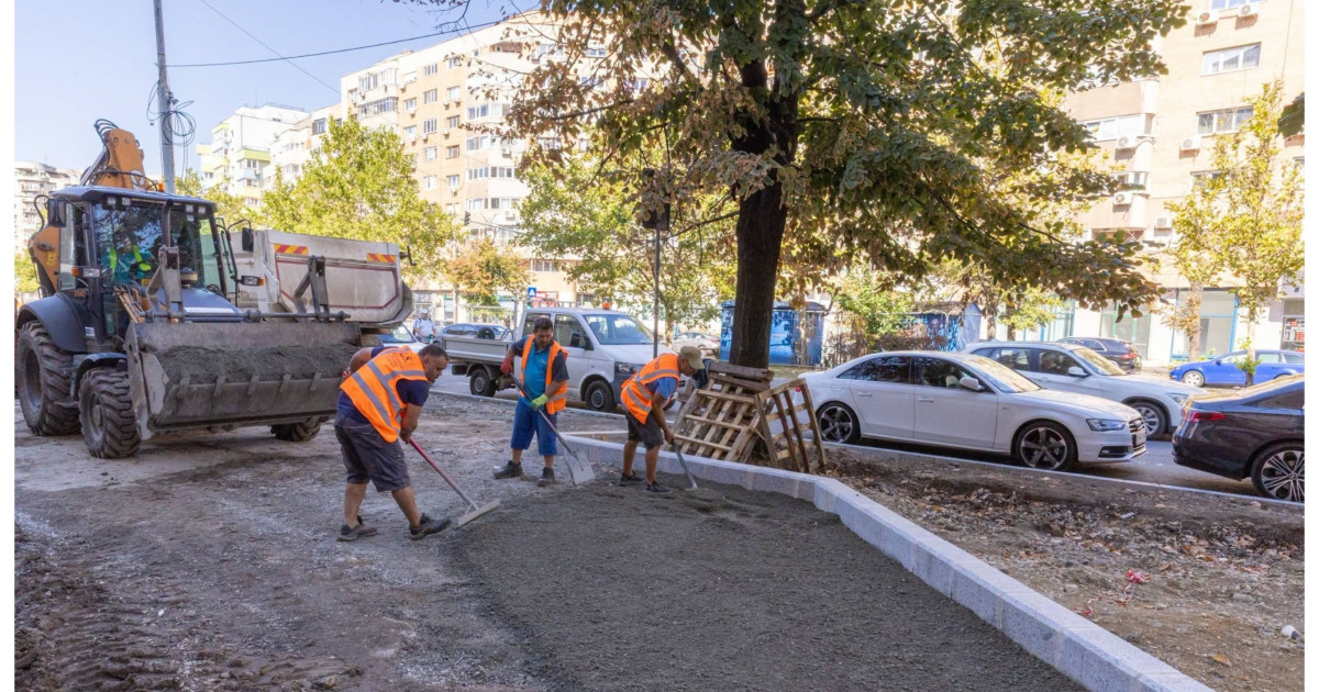 Coridor verde pe Calea 13 Septembrie: Bucureștiul, plin de peste 200.000 de plante