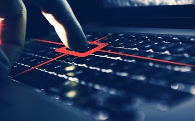 Guvernul expune CNP-uri și adrese pe noua platformă de companii de stat