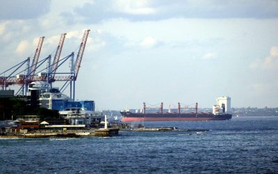 Turcia negociază un acord cerealier crucial în Marea Neagră