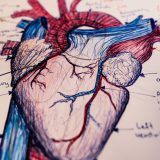 Boala-Mimă a Infarctului: Simptome și Cauze Explicate