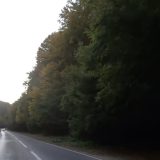 DN 1E, blocat pentru raliu: Poiana Brașov-Râșnov, pe circuit