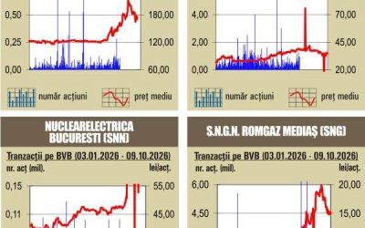 BVB: Majoritatea indicilor în scădere drastică