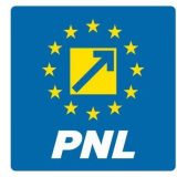 PNL votează Guvernul Luca Niculescu, decizie luată (surse)