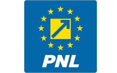 PNL votează Guvernul Luca Niculescu, decizie luată (surse)