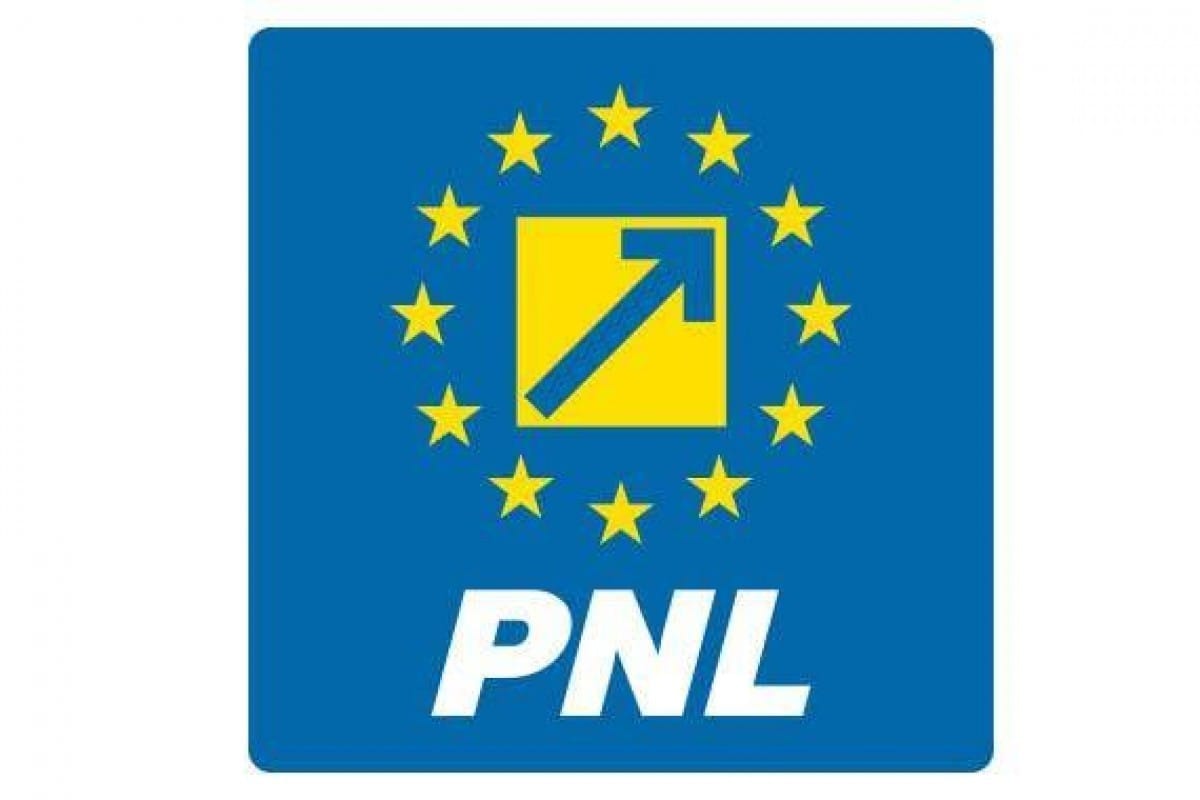 PNL votează Guvernul Luca Niculescu, decizie luată (surse)