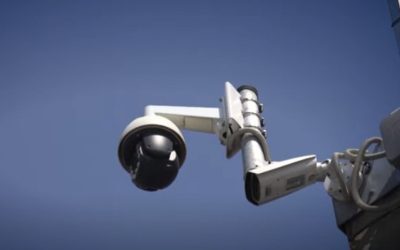 Polițiști la 4 AM în casele unor români din cauza AI eronat