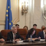 Zamfir: România, producător de materii prime critice, nu exportator brut