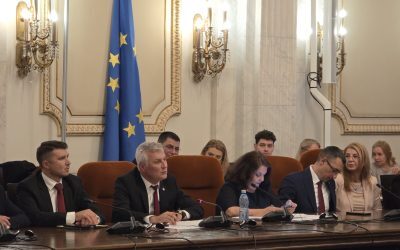 Zamfir: România, producător de materii prime critice, nu exportator brut