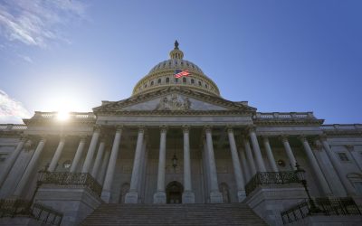 Rusia atacă democrații cu fake news înainte de alegeri