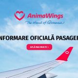 AnimaWings, reorganizare judiciară oficială
