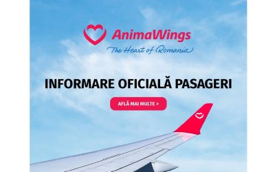 AnimaWings, reorganizare judiciară oficială