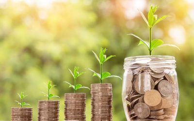 Euro în 2027: Analiști dau cursul și avertizează