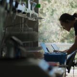 AI torturată online: Experimentul cu rezultate uluitoare