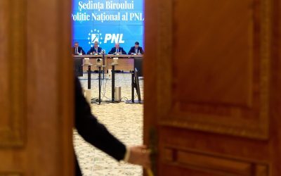 PNL sfidează Guvernul Niculescu: S-ar putea să nu aibă voturi