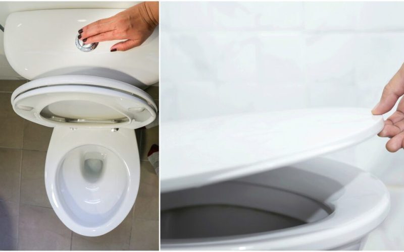 Oțet în WC săptămânal: Trucul genial pe care toți îl folosesc