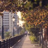 Weekend: SoNoRo, Halloween, Ziua Morților, dans contemporan