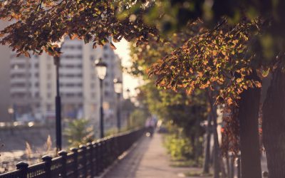 Weekend: SoNoRo, Halloween, Ziua Morților, dans contemporan